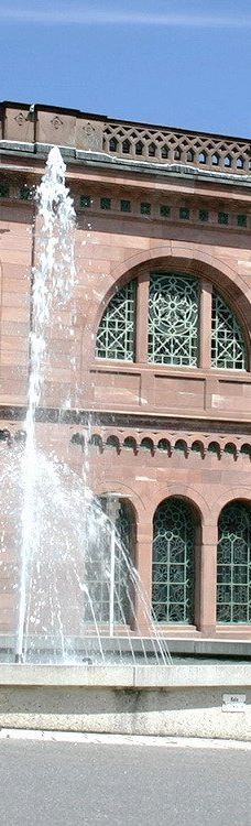 巴特维尔德巴特