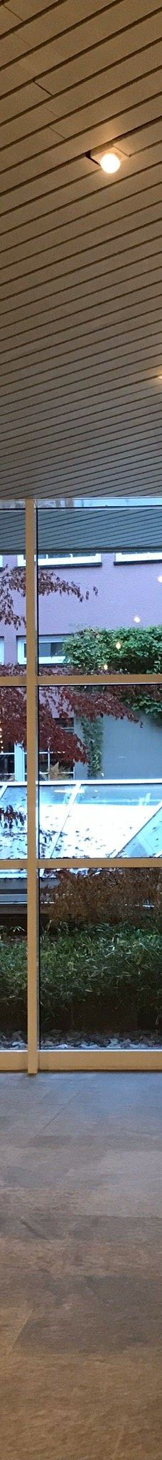 巴特维尔德巴特