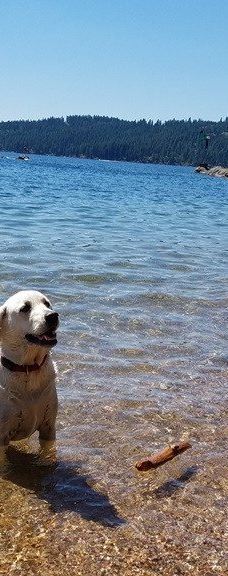 Tubbs Hill-科达伦