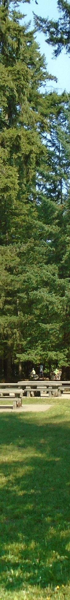 中央公园-本那比