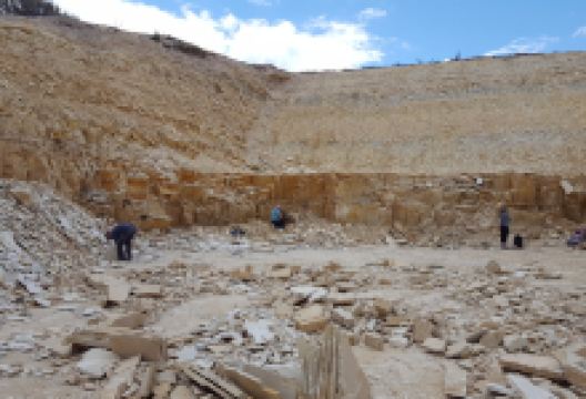 Fossil Safari景点图片