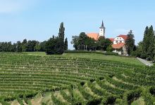 Vinothek Jeruzalem景点图片