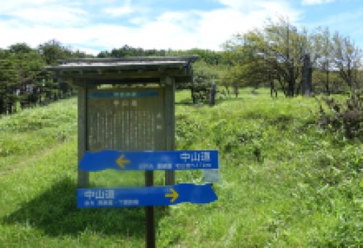 和田峠景点图片