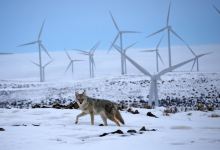 Wild Horse Renewable Energy Center景点图片