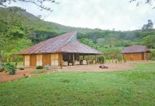 Rwenzori Art Centre景点图片