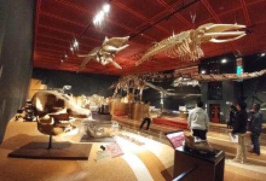 いわき市石炭・化石館景点图片