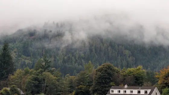 Argyll Forest Park