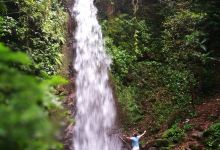 Reserva Forestal Grecia Sector Bosque del Nino景点图片