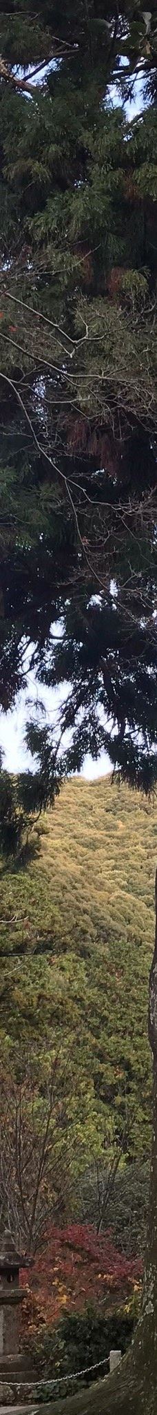 Fumon-ji Temple-丰桥市