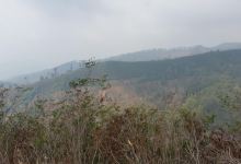 Callindra Hill景点图片