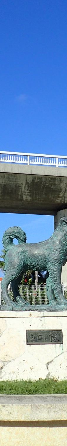 忠实的狗白 哀悼纪念碑-座间味村