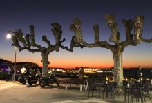 Paseo de Alfonso XII景点图片