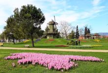 Sakarya Kent Park景点图片