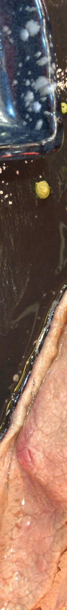 国際通り屋台村-那霸