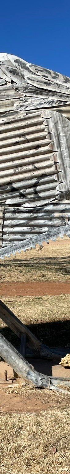 Patchewollock Silos Art-帕奇沃洛克