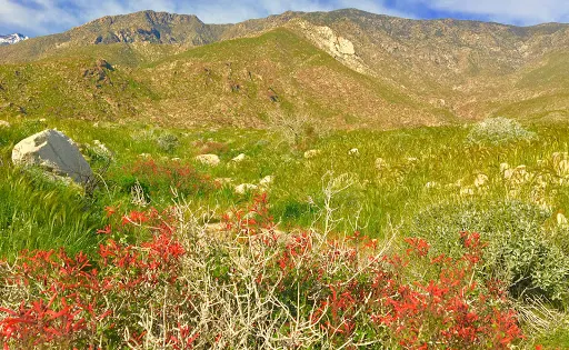 Oswit Canyon