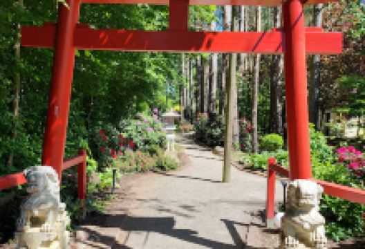 Koi-Japanischer-Preußischer Garten景点图片