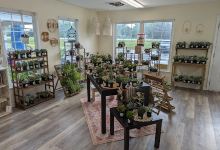 Urban Garden Market购物图片