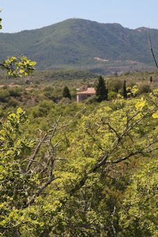 Wood Païolive-罗纳-阿尔卑斯