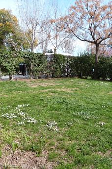 Camping Le Florida-埃尔讷