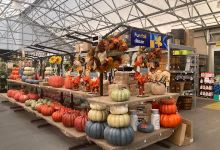 Lowe's Garden Center购物图片