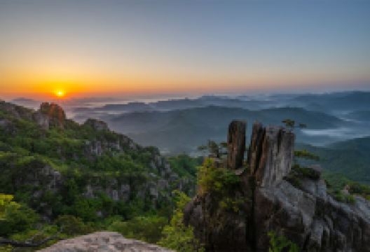 大屯山道立公园景点图片