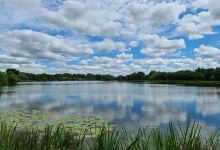 Étang de Montauban de bretagne景点图片
