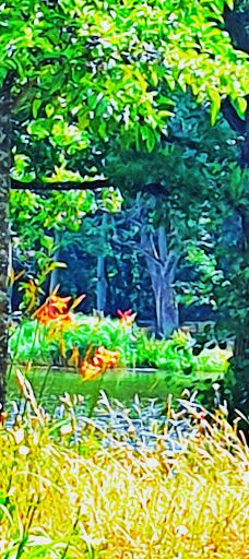 Lac de Creutzwald-柯哲斯瓦尔德拉克鲁瓦