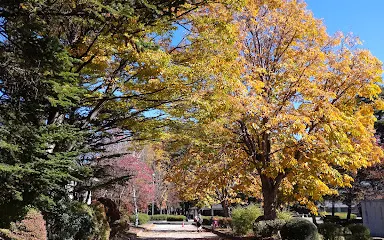 佐久市立近代美術館