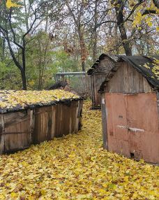 Gosudarstvennyy Prirodnyy Zakaznik Kamennaya Step'-塔洛瓦亚区