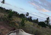 Rancho vitória são tomé RN景点图片
