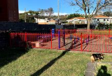 Santa Ana Dog Park景点图片