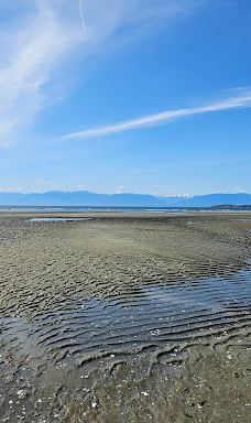 Witty's Lagoon Regional Park-首府地区