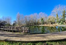 Spindleberry Nature Park景点图片