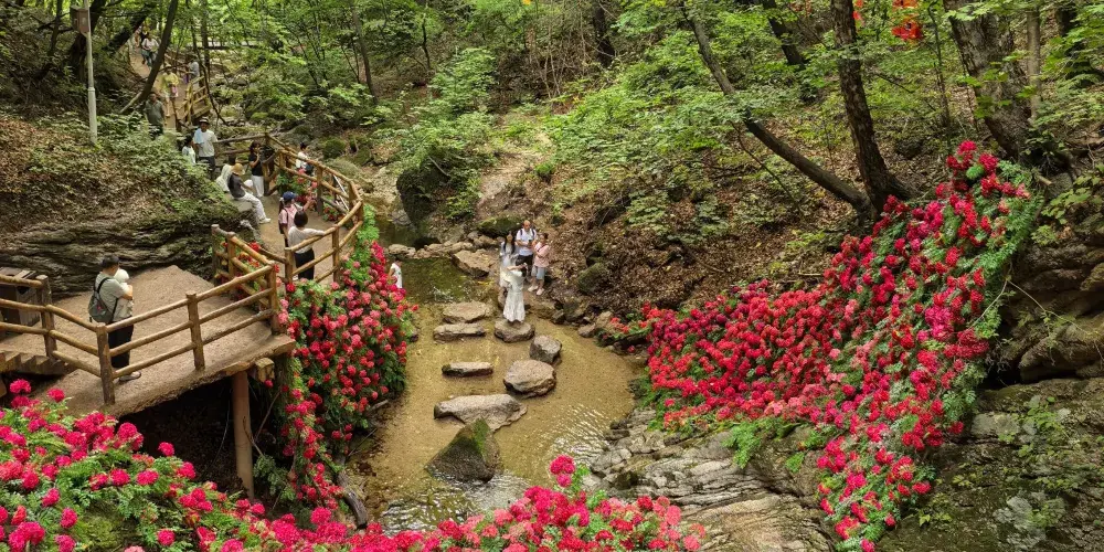 永安旅遊