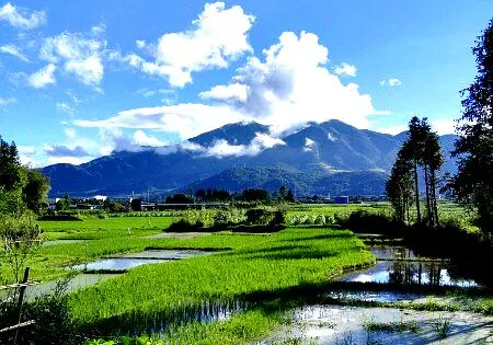 愛國靈山寺