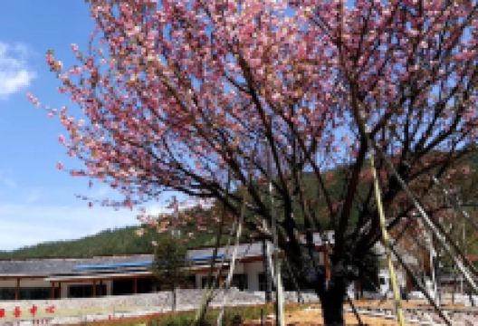 匡山国家森林公园景点图片