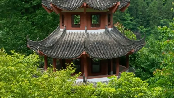 桃花源國家森林公園-百福亭