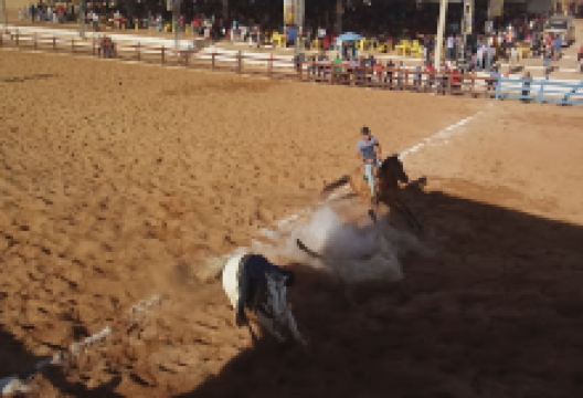 vaquejada Dr. Park. Marcio Rabelo景点图片