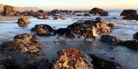 Pinnacle Gulch Coastal Access Trail