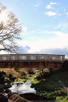 Talking Water Gardens-奥尔巴尼