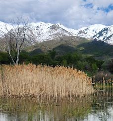 Andy Adams Park-雷顿