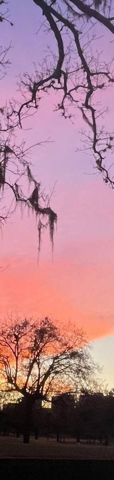 赫曼公园-休斯敦