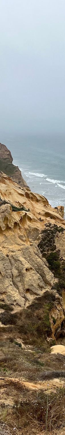 多利松国家自然保护区-佐拉