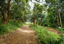 Karadiyur View Point - Yercaud景点图片