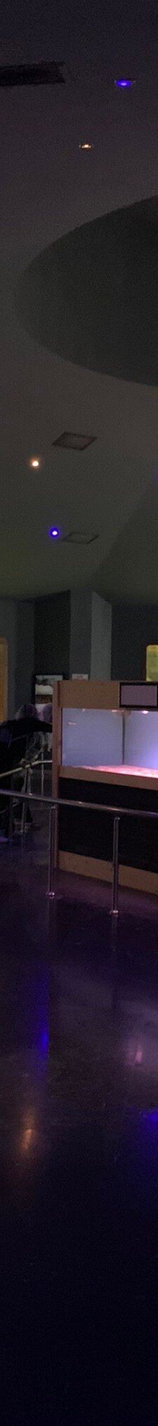 Deniz Dunyasi-安卡拉