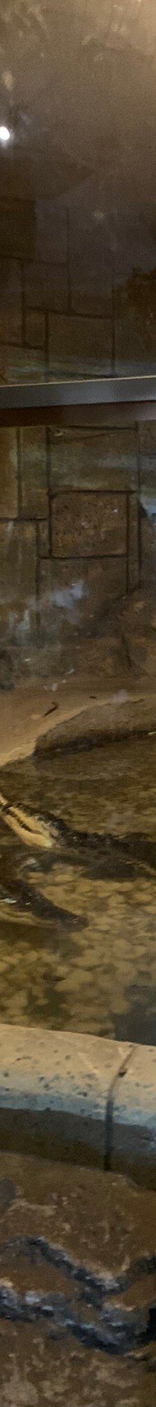 Deniz Dunyasi-安卡拉