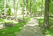 Greenbelt Park景点图片