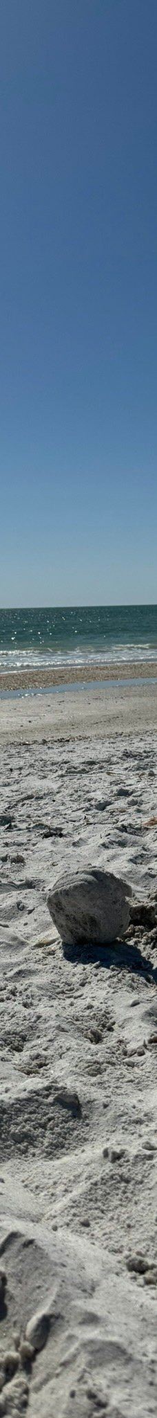 Tigertail Beach-马可岛