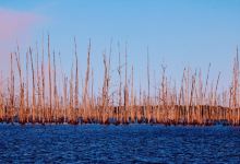 Cane Creek State Park景点图片